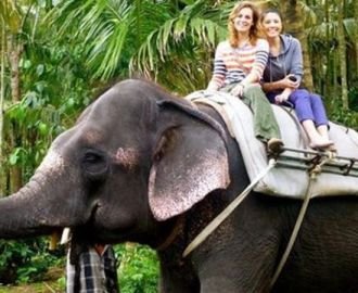  Rainbo Travels