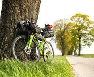  Rainbo Travels