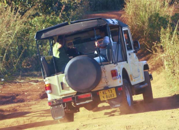 rainbow tours